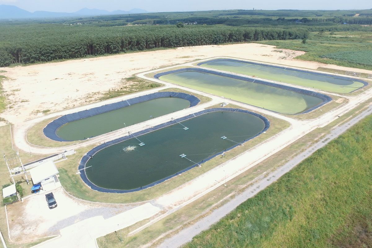 WHA Eastern Seaboard Industrial Estate 4 WHA ESIE 4 WHA Industrial