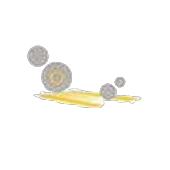 DSG International (Thailand Co., Ltd.